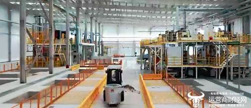 聰明的車駛上智慧的路 湖北移動賦能5G全連接汽車工廠，開啟智能車飾新篇章